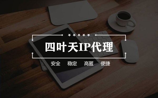 【扬州代理IP】如何快速搭建代理IP？怎么检查代理的效果？